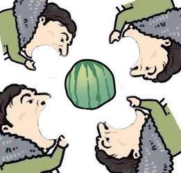 吃瓜着急,娱乐圈最新热点事件解析