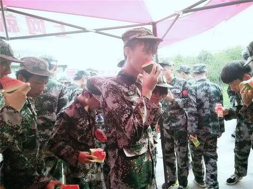 军训吃瓜心得怎么写,滋味与感悟交织的军旅食光