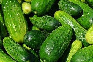 梦见熟人给我瓜吃