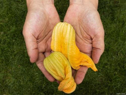 吃瓜能有多积极国外,国外视角下的积极生活态度