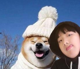 吃瓜的好帅,揭秘娱乐圈的瓜田传奇