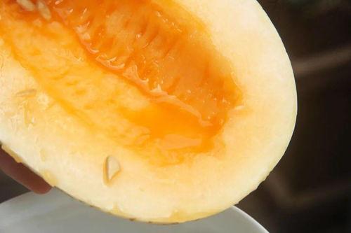 吃瓜靠速度,揭秘吃瓜达人如何一秒锁定热点