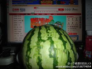 吃瓜的创意视频,揭秘吃瓜界的创意狂欢