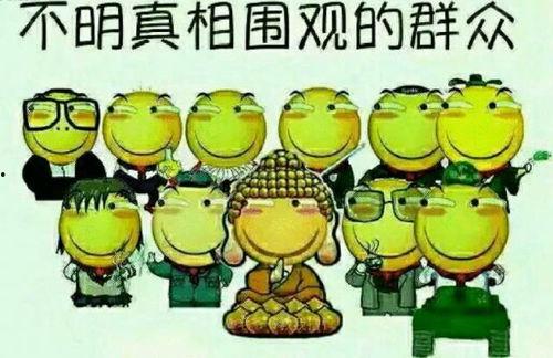 吃瓜群众简书,简书中的趣味人生