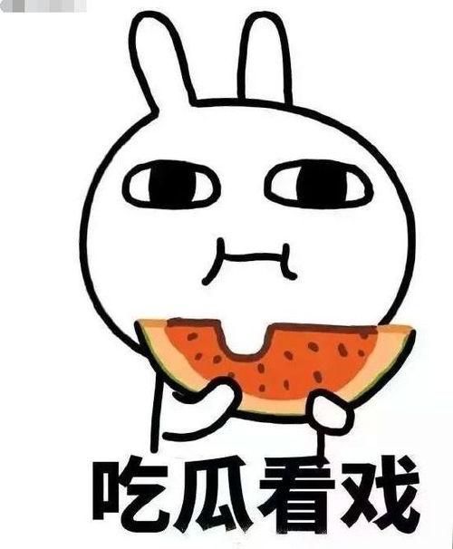 错失吃瓜小说,一场关于瓜田的奇幻爱情冒险