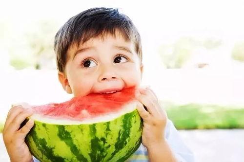 错失吃瓜小说,一场关于瓜田的奇幻爱情冒险