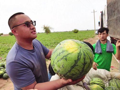 在野吃瓜,揭秘娱乐圈幕后故事  第3张