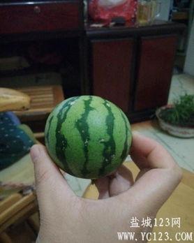 最新盐城吃瓜事件,揭秘背后真相与网络热议