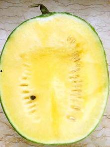 最新盐城吃瓜事件,揭秘背后真相与网络热议  第3张