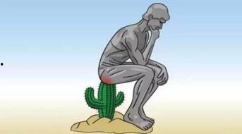 吃瓜后老是放屁,揭秘日常生活中的小尴尬  第2张