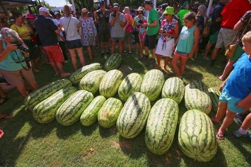 无手瓜咋吃,解锁美味新境界  第2张