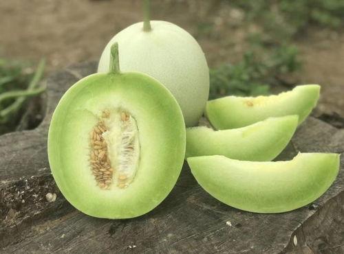 玉菇瓜是玫珑瓜吗怎么吃,美味食用指南