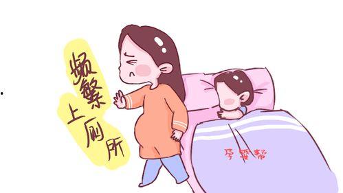 瓜露下怀怎么吃,夏日清凉美食新体验  第3张